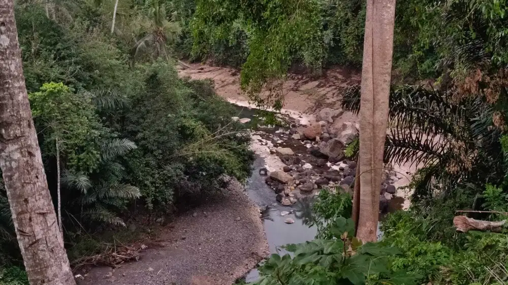 Dijual Tanah View Sungai Besar Yg Exotik Di Tabanan Bali