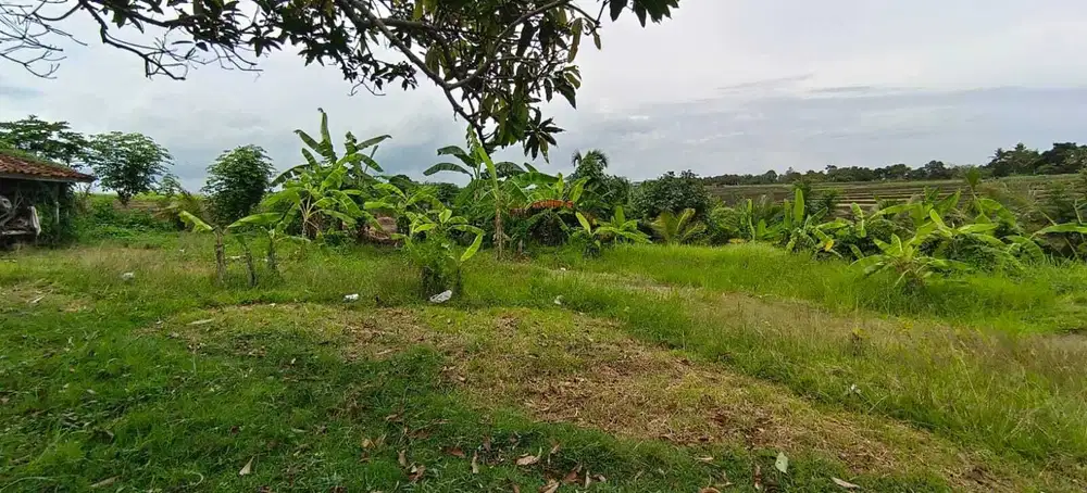 Jual tanah luasan kecil dekat pantai di tabanan bali