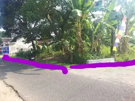 Tanah Pekarangan Bagus 2 Muka di Prambanan Sleman TP 125