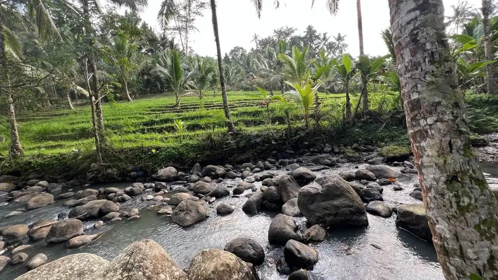 Jual tanah kebun luasan kecil Los sungai cantik di tabanan bali.