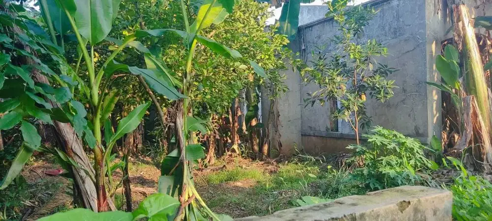 Tanah Kavling di Perumahan Graha Harapan
