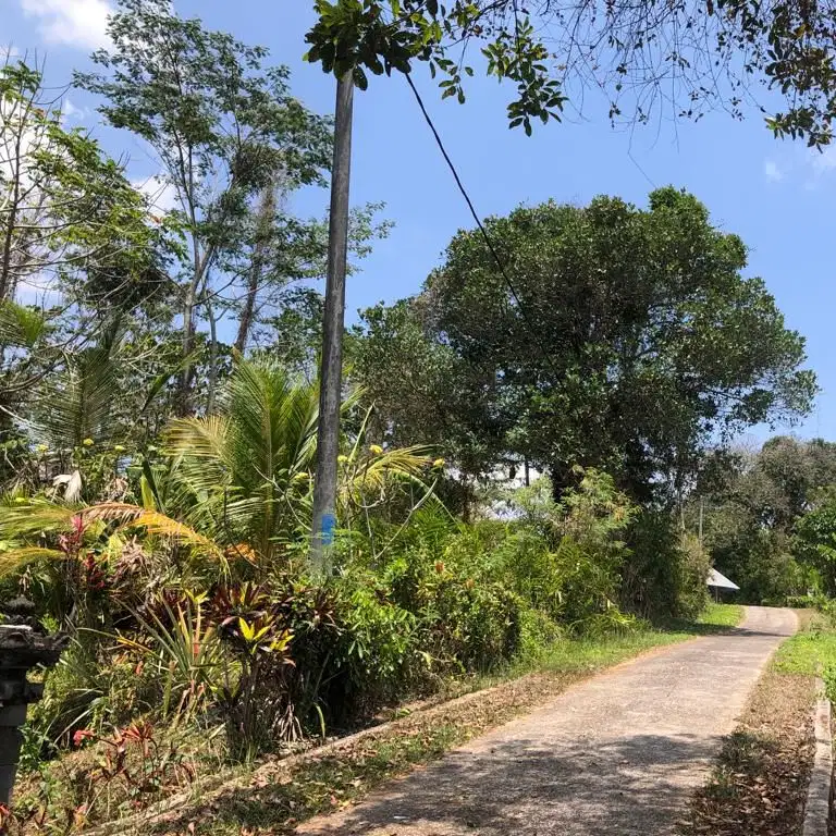 tanah kebun los sungai dekat villa bali palms tabanan bali