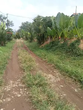 TANAH MURAH KARANG NANGKA PURWOKERTO