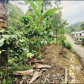 Tanah pekarangan murah kemuning ngargoyoso karanganyar