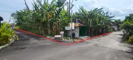 Tanah Pekarangan Bagus Murah di Prambanan Sleman TP 081