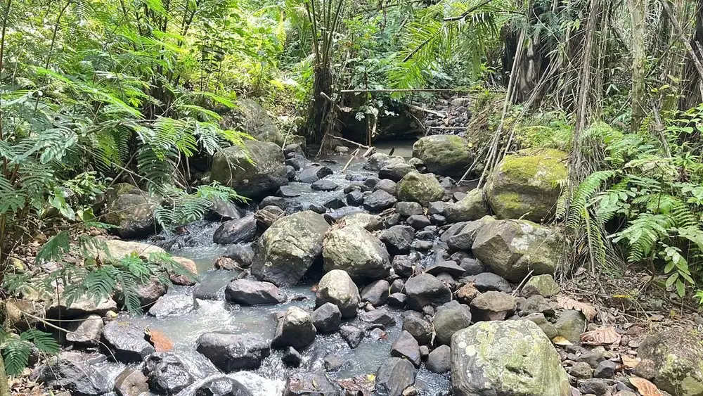 Jual tanah kebun diapit dua sungai cantik di tabanan bali