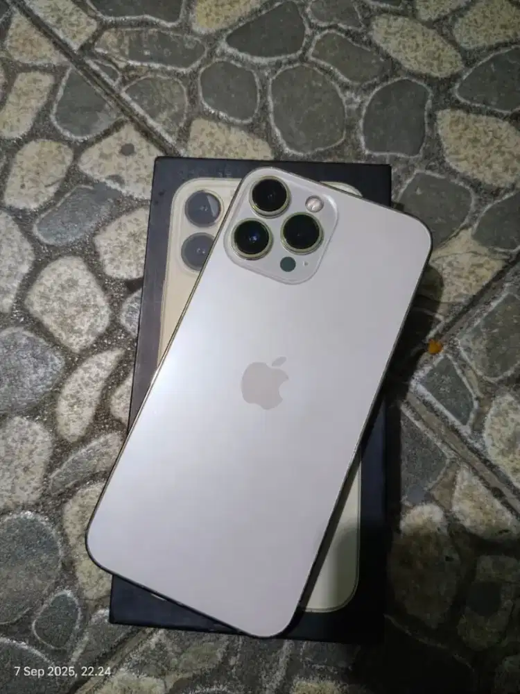 iPhone 13 promax 256