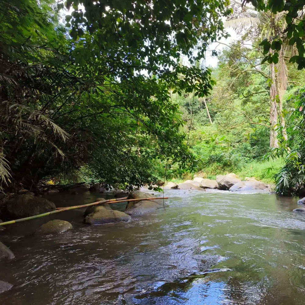 jual tanah kebun view sawah los sungai indah di tabanan bali