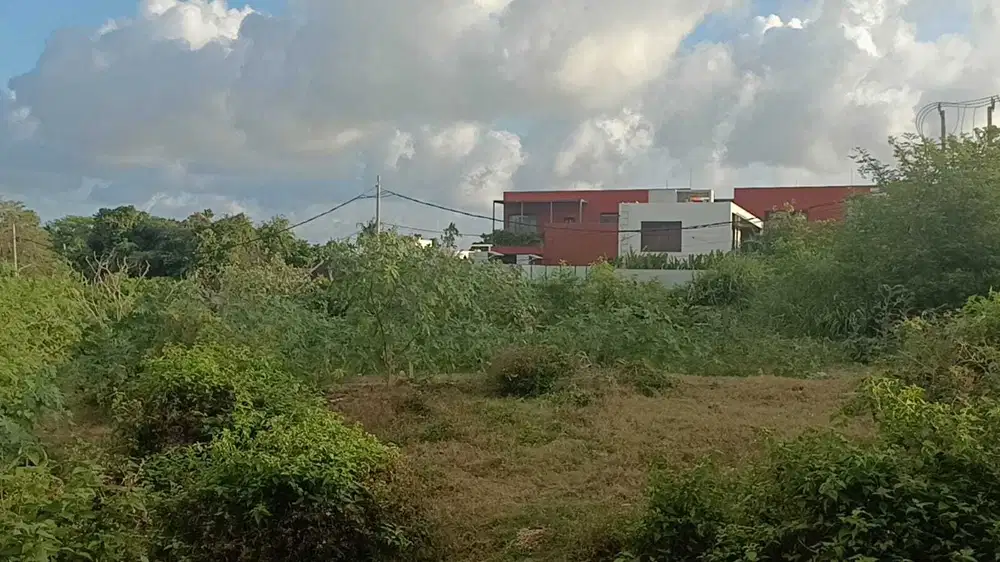 Dijual - Tanah Eksklusif 1256 M² di Pererenan Badung dekat Pantai