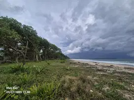 Tanah di pantai krui