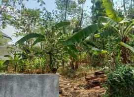 TANAH MURAH, ISTIMEWA STRATEGIS LOKASI,DEKAT KAMPUS UNDIP SEMARANG