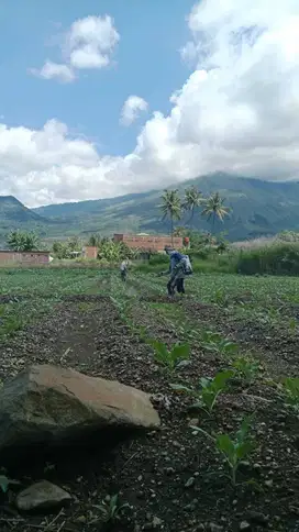 Tanah Strategis View Cantik di Langensari Tarogong Kaler Kota Garut