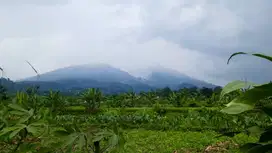 DIJUAL TANAH DI KAKI GUNUNG SALAK CIJERUK, COCOK UNTUK VILLA & USAHA