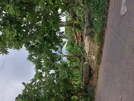 Tanah Di Pinggir Jalan Di Bedahan Sawangan