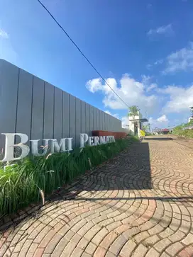 Inhouse Tanpa Bunga Ya Cuma Di Sini Tempatnya