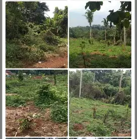 Dijual tanah kebun cocok peternakan, 18 Ha, 150rb=m