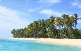 TANAH TEPI PANTAI PULAU PISANG KRUI