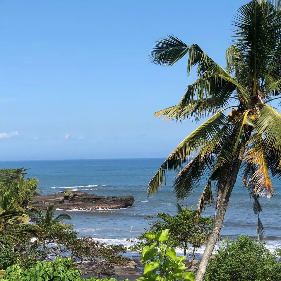 jual lokasi dekat pantai view sawah cantik di tabanan bali