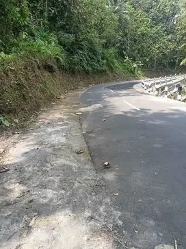 JUAL TANAH DI SIDOHARJO SAMIGALUH KULONPROGO