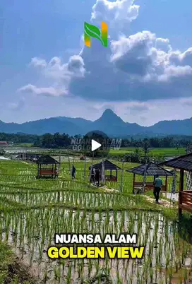 Investasi kavling sawah menguntungkan