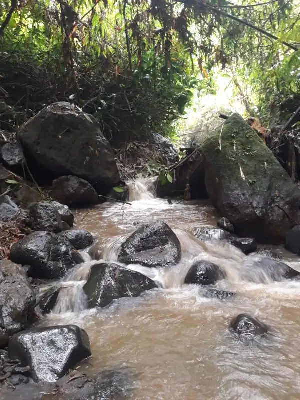 DIJUAL LAHAN TEPI SUNGAI ANAK AYUNG DI KERTA PAYANGAN