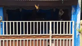 rumah asri dalam perumahan