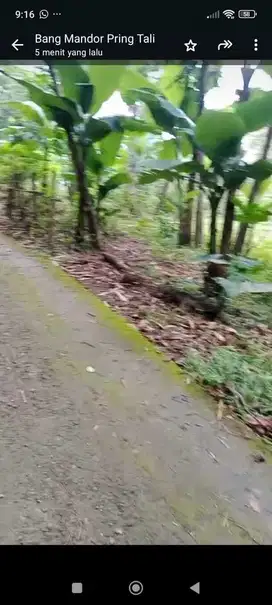 JUAL TANAH DI GIRIPURWO GIRIMULYO KULONPROGO MURAH DATAR