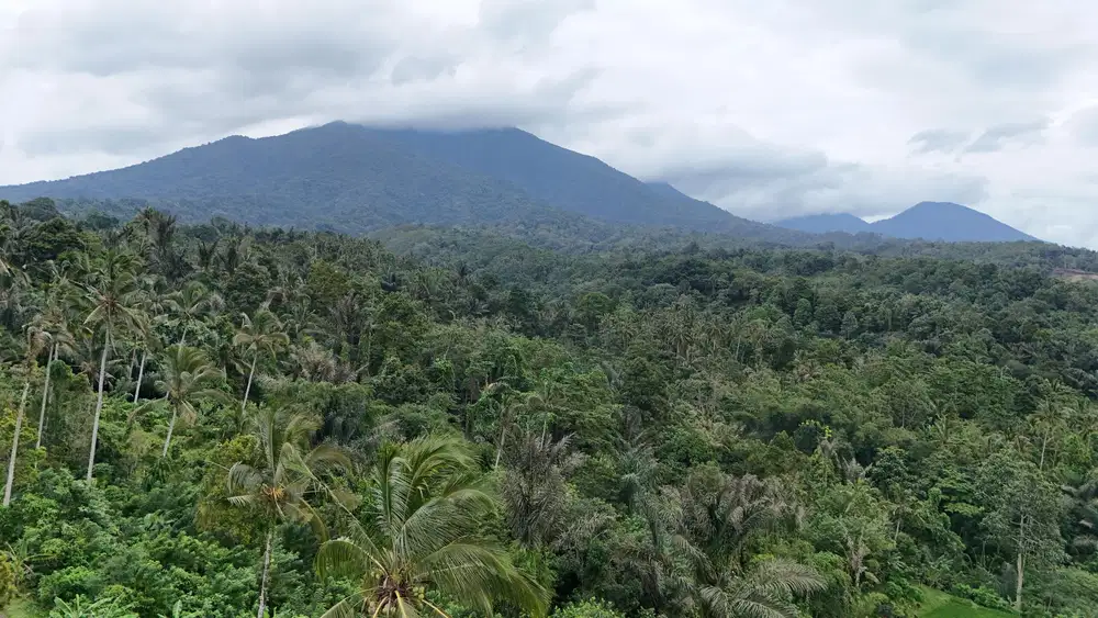 Jual tanah luasan kecil view gunung sejuk di tabanan bali