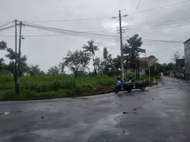 Dikontrakkan Sawah di seputaran jln kapten Hariyadi jakal
