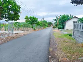 Dijual Tanah Super Luas 1220 m² SHM Bonus Rumah Hitung Tanah Saja di Srono Banyuwangi