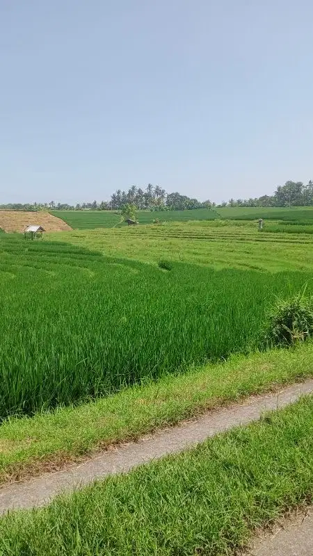 tanah luas kecil dekat pantai