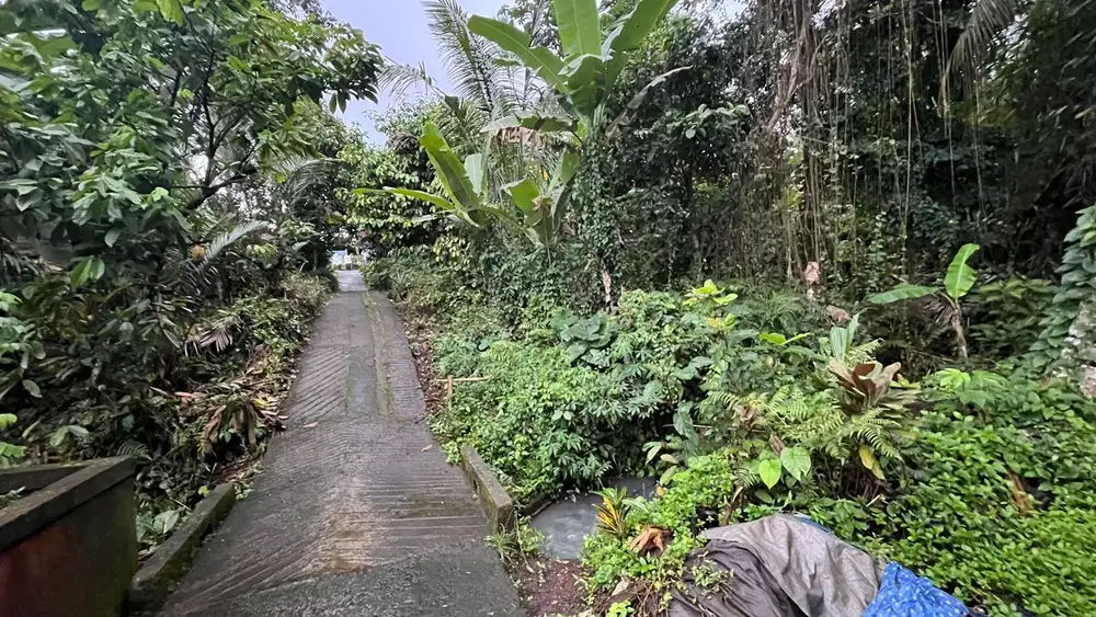 Jual tanah Luas kecil zona perumahan harga murah di tabanan Bali.