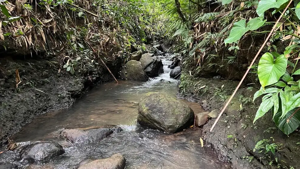 Jual tanah kebun view bagus harga murah di tabanan bali