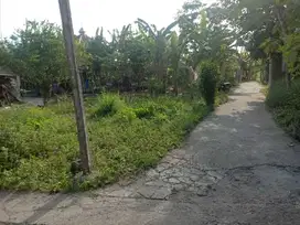 Tanah Pekarangan Hook Murah di Jetis Bantul TP 115