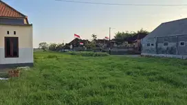 RUMAH MINIMALIS TENGAH KOTA JEMBRANA DI LOLOAN TIMUR