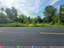 DIJUAL CEPAT TANAH SANGAT STRATEGIS DAERAH TATELI, HARGA SANGAT MURAH