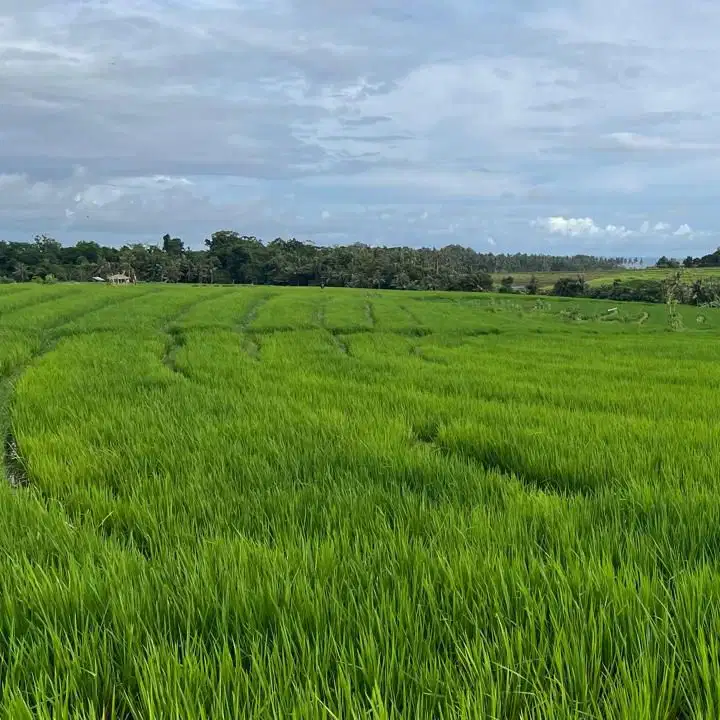 jual tanah luas kecil dekat pantai di tabanan bali.