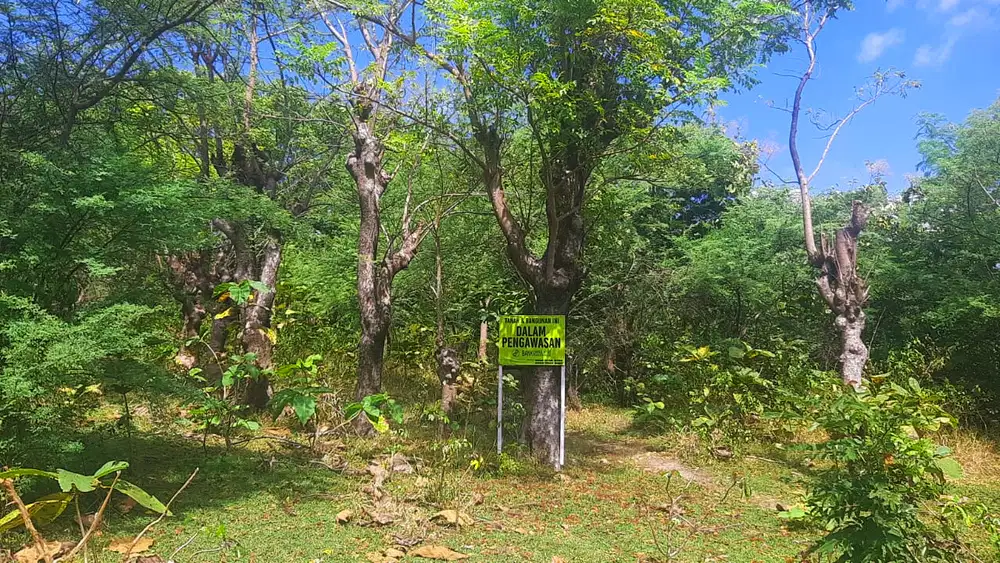 Dijual Tanah Kosong