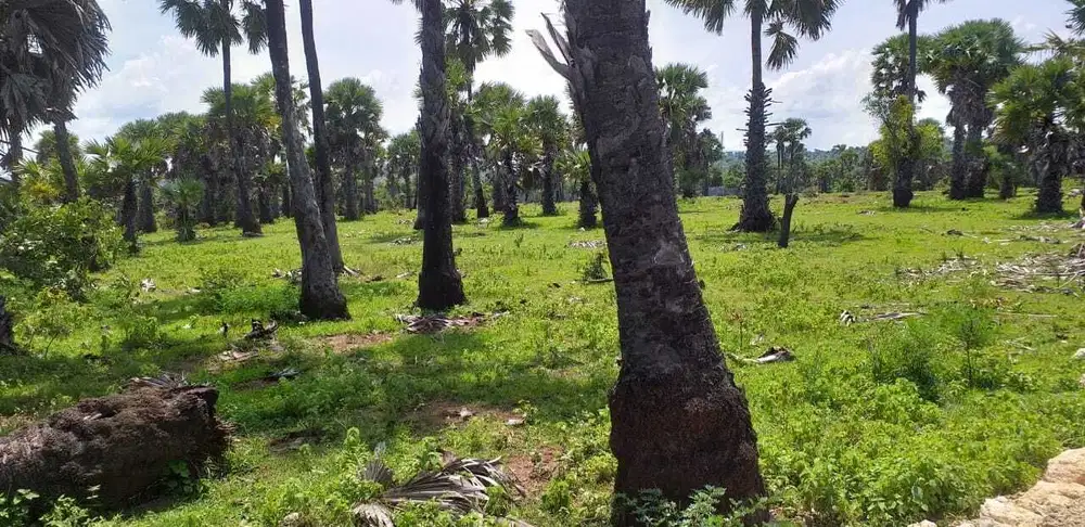 Dijual Tanah View Laut di Tanah Merah Kab. Kupang