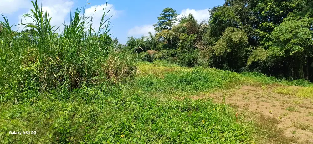 di jual tanah murah di ubud lodtunduh link vila