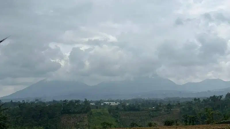 jual tanah view gunung luas kecil suhu sejuk di tabanan bali