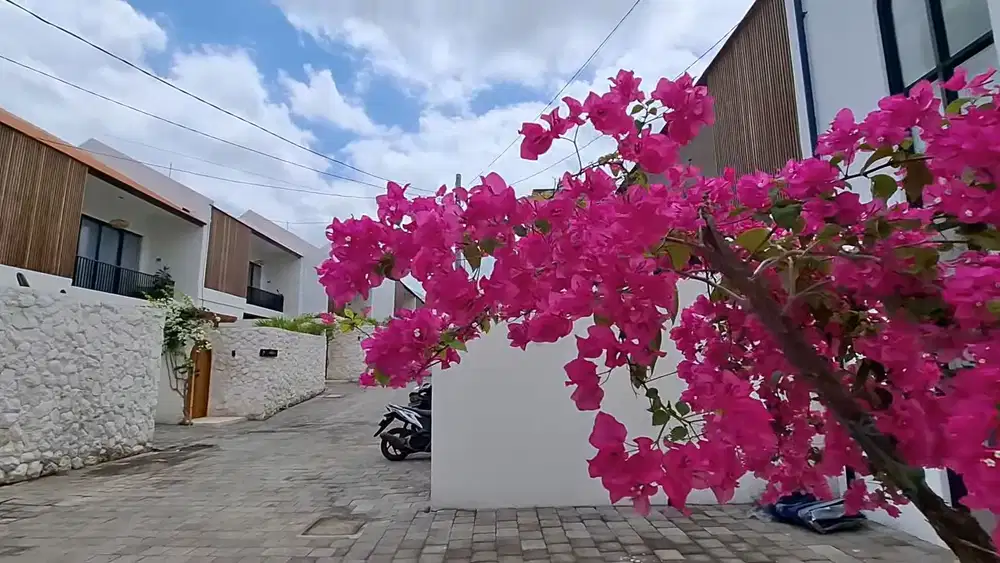 Bali Canggu Villa brandew premium location