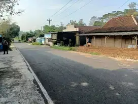 Tanah tepi jalan provinsi mojogedang