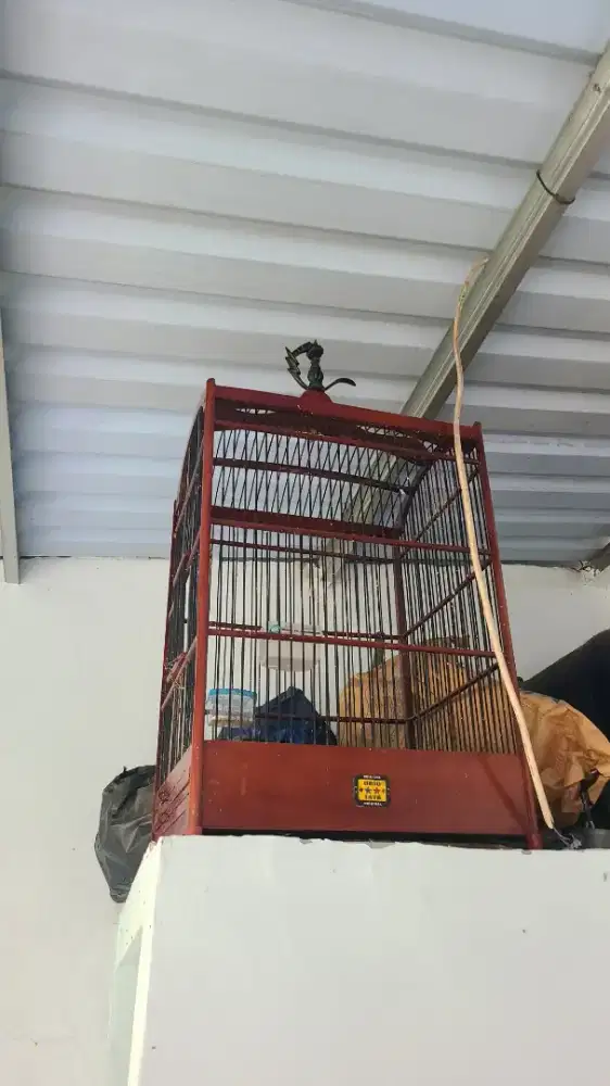 Kandang burung besar dan kecil