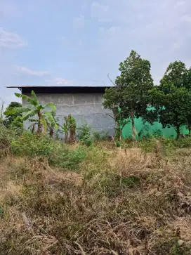 Disewakan gudang strategis anti banjir brebes jawa tengah