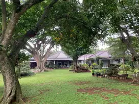 Jual Rumah Mewah Di Cilandak Timur Jakarta Selatan