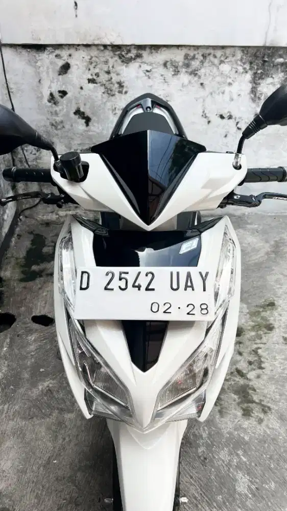 Vario 125 mulus