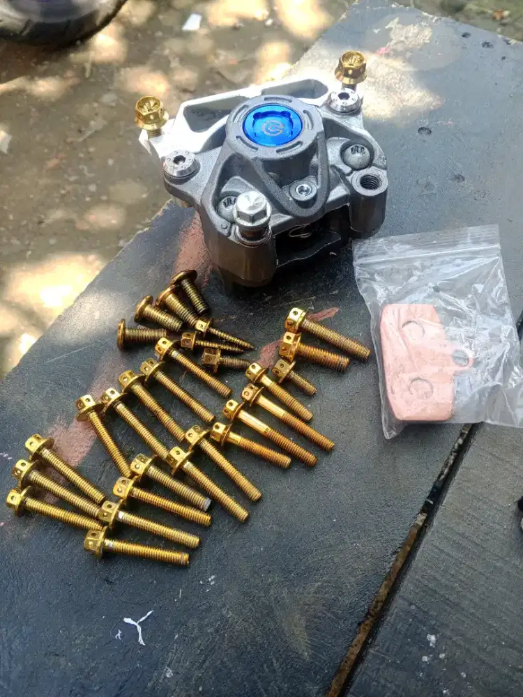 Kaliper+bracket 220+ baut² probolt