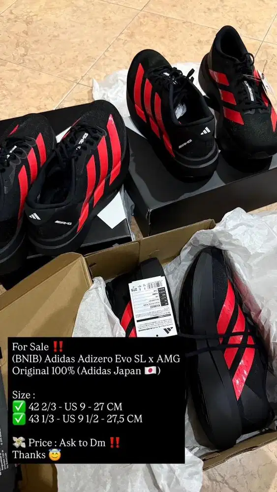 Sepatu Running Adidas Adizero Evo SL x AMG (BNIB)