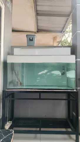JUAL CEPAT AQUARIUM